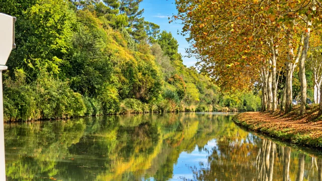 Árvores refletidas nas águas de um canal.